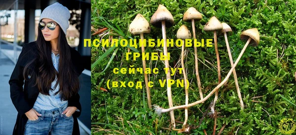 ГАЛЛЮЦИНОГЕННЫЕ ГРИБЫ Алексин