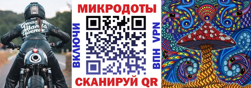 наркотики  Курган  Галлюциногенные грибы мицелий 