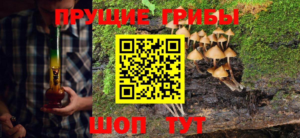 Галлюциногенные грибы Magic Shrooms  Вход с VPN  Курган 